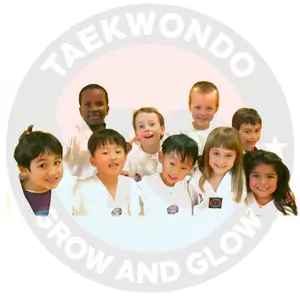 tg taekwondo kids class