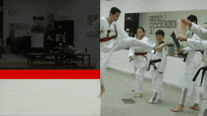 tg taekwondo teenagers class